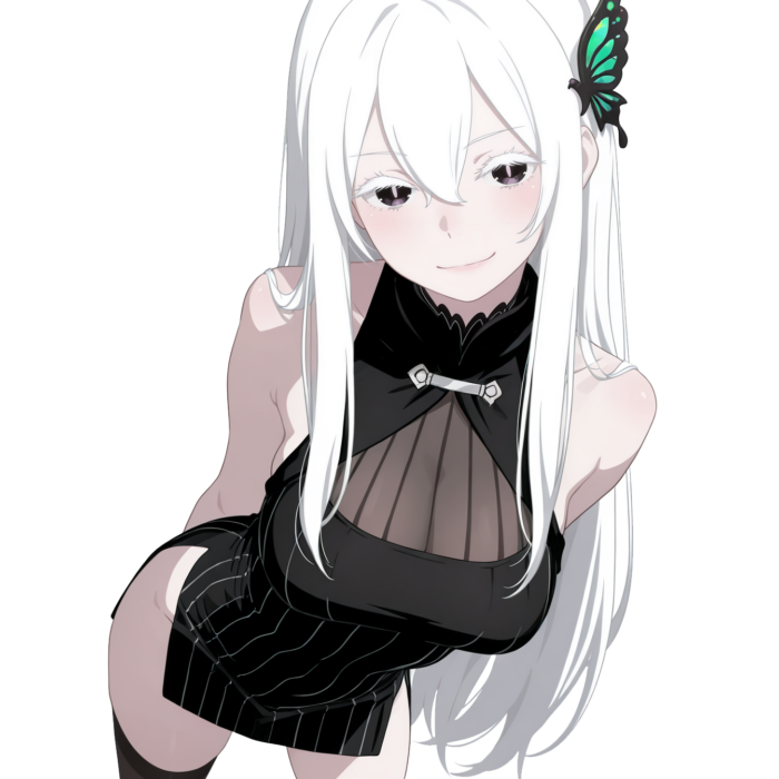 Echidna